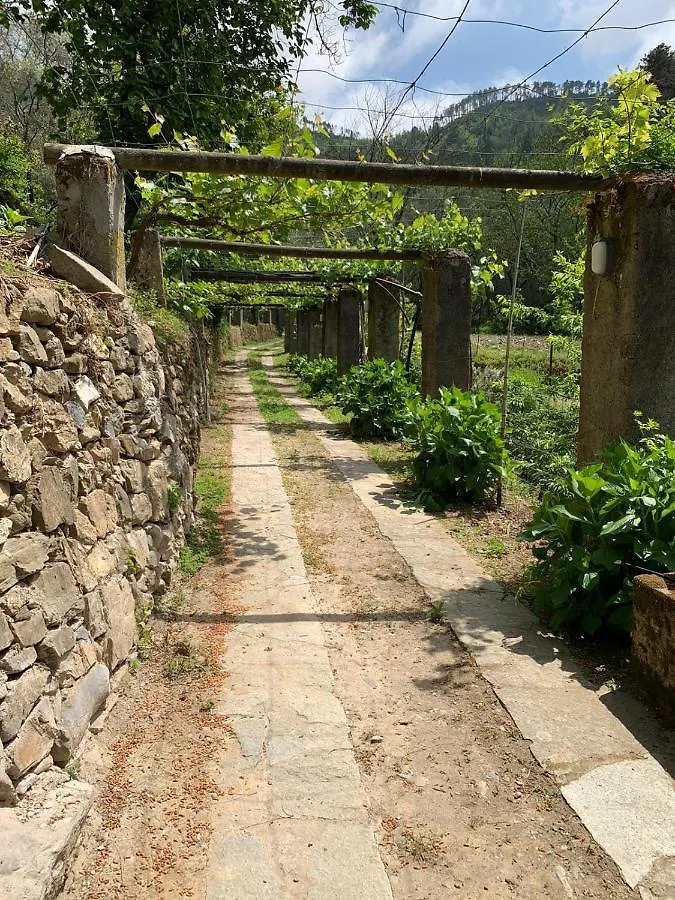 Vecchio Mulino Fontona Ortensia Chiesanuova