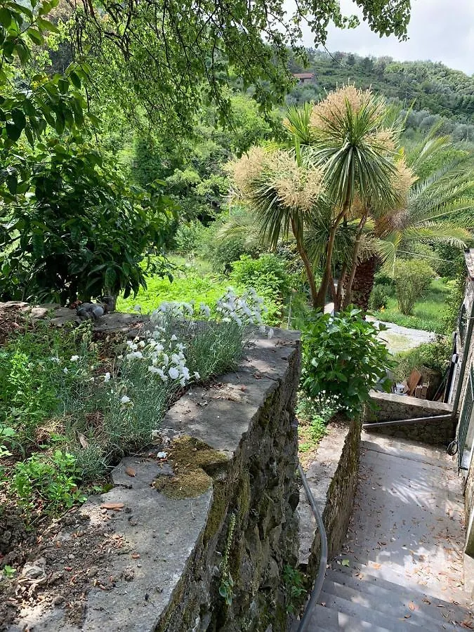 Vecchio Mulino Fontona Ortensia Chiesanuova  Pensjonat Chiesanuova (Liguria)