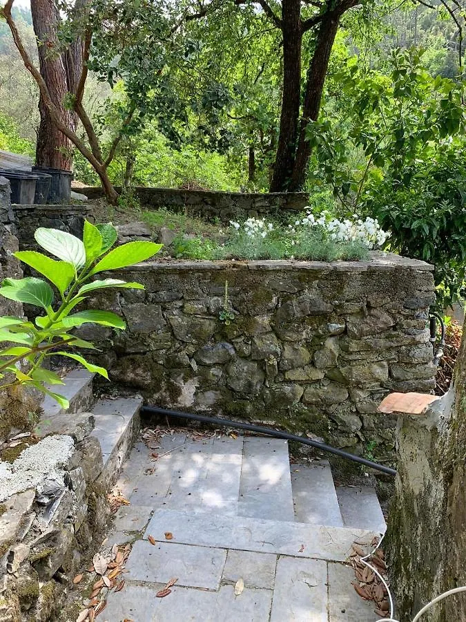 Vecchio Mulino Fontona Ortensia Chiesanuova  Gasthuis Chiesanuova (Liguria)