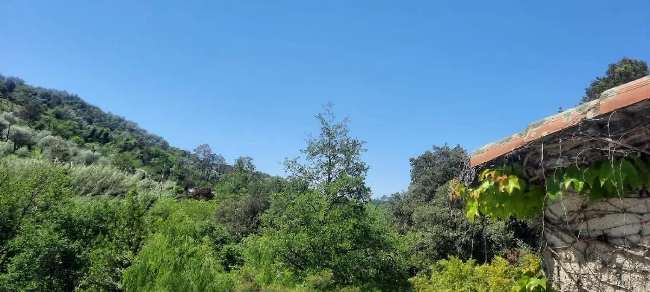 Vecchio Mulino Fontona Ortensia Chiesanuova  Gasthuis Chiesanuova (Liguria)