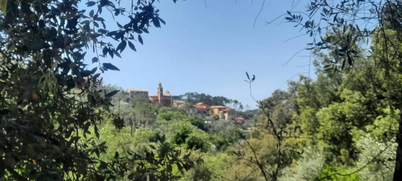 Vecchio Mulino Fontona Ortensia Chiesanuova  Chiesanuova (Liguria)