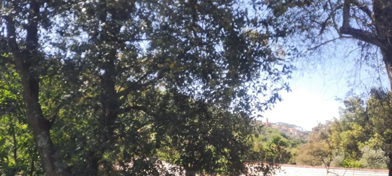 Gasthuis Vecchio Mulino Fontona Ortensia Chiesanuova